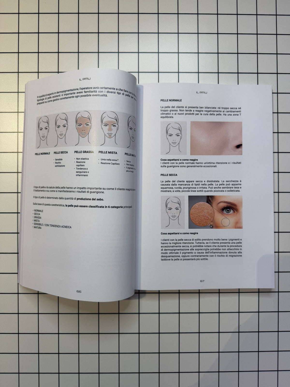 IL PMU - Manuale di dermopigmentazione